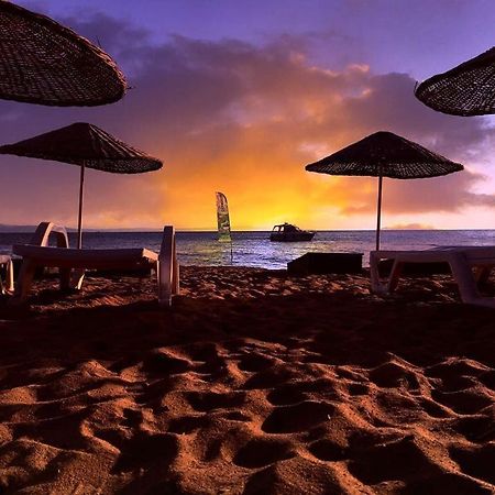 Cicek Evler Tatil Koeyue Hotel Armutlu Bagian luar foto