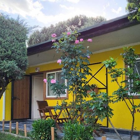 Cicek Evler Tatil Koeyue Hotel Armutlu Bagian luar foto